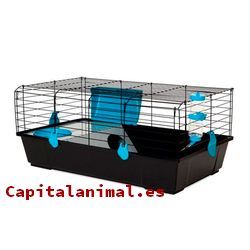 Adquiere On-line la jaula para roedores