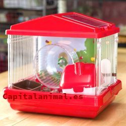 Jaulas para hamster plastico ❤️ Mejores alternativas online
