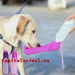 botellas de agua para perros baratos