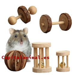 Mejores juguetes para hamster - Dónde comprar online